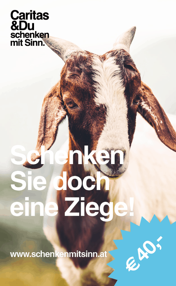 Hotel Allegro – Bild 4